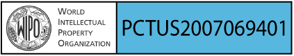 PCTUS2007069401